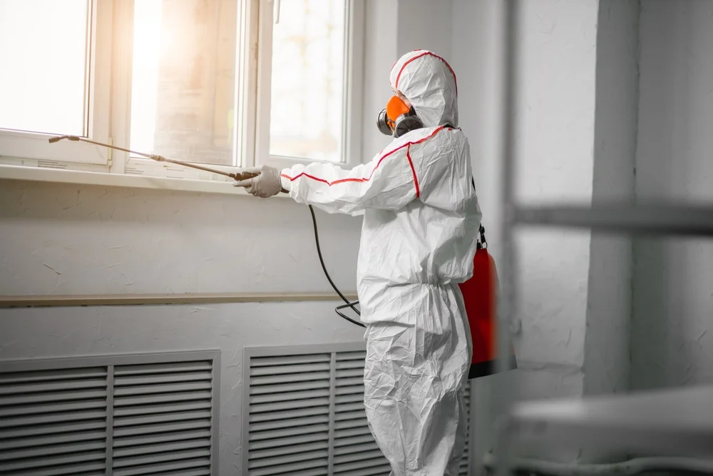 Professional mold remediation services in Fabens, TX